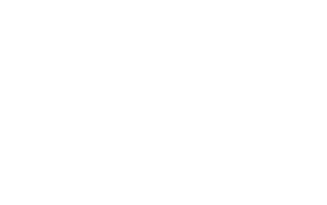 Logo Linkedin blanc